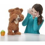 Hasbro FurReal Friends Blueberry medvěd Cubby – Zboží Dáma