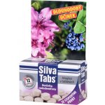 Silva Tabs Borůvky, rododendrony 250g – Zbozi.Blesk.cz