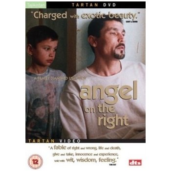 Angel On The Right DVD