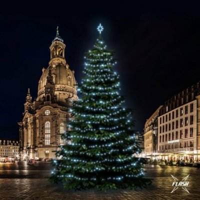 DECOLED, DLED TFS401 LED světelná sada na stromy vysoké 12-14m, ledová bílá s Flash – Hledejceny.cz