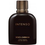 Dolce & Gabbana Intenso parfémovaná voda pánská 125 ml – Hledejceny.cz