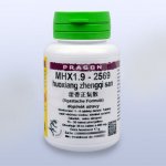 PRAGON MHX1.9 huoxiang zhengqi san 36 pian tablet – Hledejceny.cz