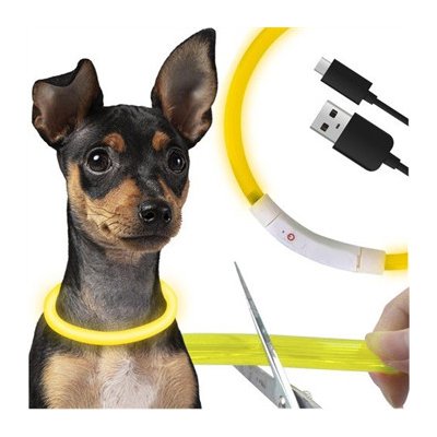 Purlov Svíticí obojek pro psy LED regulovatelný nabíjecí USB C – Zboží Dáma Purlov Svíticí obojek pro psy LED regulovatelný nabíjecí USB C – Zboží Dáma