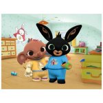 Dino Kostky Bing 12 ks – Zbozi.Blesk.cz