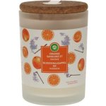 Air Wick Essential Oils Blood Orange & Incense 185 g – Zboží Mobilmania