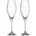 Villeroy & Boch Skleničky na šampaňské Toy's Delight čirá 2 x 260 ml – Sleviste.cz