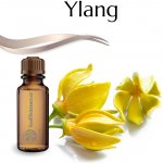 Slow-Natur Essential vonný olej Citron 10 ml – Zbozi.Blesk.cz