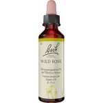 Bachovy květové esence Planá šípková růže Wild Rose 20 ml – Hledejceny.cz