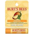 BURT'S BEES Balzám na rty s mangovým máslem 4,25 g