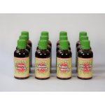 Bylinné kapky Pavlovy bylinné kapky Netopýr max kompletní sada tinktur Buhnerův protokol (tinktura) 12 x 50 ml 50 ml – Hledejceny.cz