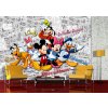 Tapety AG Design FTDS-2225 Dětská papírová fototapeta Mickey Mouse rozměry 360 x 254 cm