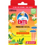 Duck Tropical Sunshine tekutý WC čistič 750 ml – Zboží Dáma