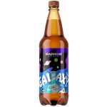 Krušnohor Galaxy APA světlý ležák 12° 4,8% 1 l (pet) – Sleviste.cz