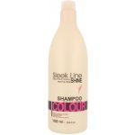 Stapiz Sleek Line Colour Shampoo 1000 ml – Zbozi.Blesk.cz