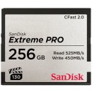 SanDisk 256 GB SDCFSP-256G-G46D