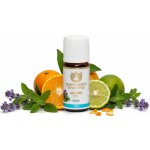 Maharishi Ayurveda Směs esenciálních olejů Nidra 10 ml – Hledejceny.cz