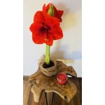 inteak.cz Stolek teak 41 – Hledejceny.cz