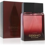 Avon Segno Success parfémovaná voda pánská 75 ml – Hledejceny.cz