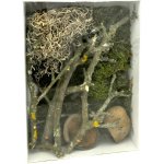 Lucky Reptile Deco Set Jungle – Sleviste.cz