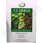 Ondřej Ullrich Clarkia tinktura proti hlístům 2 x 50 ml – Hledejceny.cz