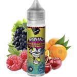 Chill Pill Shake & Vape Nirvana 12 ml – Zboží Mobilmania