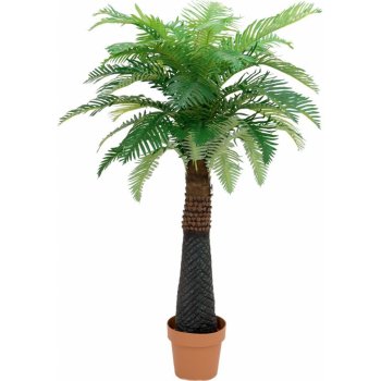 Europalms palma, datlovník kanárský, 150 cm