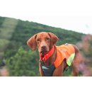 Non-stop Dogwear Vesta Protector