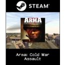 Arma: Cold War Assault