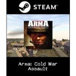 Arma: Cold War Assault – Zboží Dáma