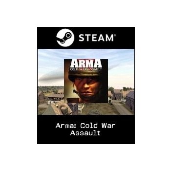 Arma: Cold War Assault