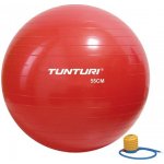 TUNTURI GymBall s pumpičkou 55 cm – Sleviste.cz