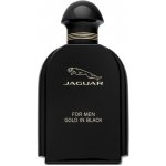 Jaguar Gold In Black toaletní voda pánská 100 ml – Hledejceny.cz