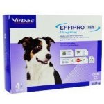 Effipro Duo Spot-on Dog M 10-20 kg 4 x 1,34 ml – HobbyKompas.cz