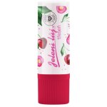 Regina Třešeň jelení lůj mini 2,3 g – Hledejceny.cz