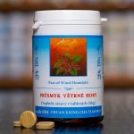 TCM Herbs Průsmyk větrné hory 100 tablet – Hledejceny.cz