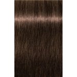 Schwarzkopf Igora Color 10 6-65 tmavá blond čokoládová zlatá 60 ml – Hledejceny.cz