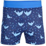 Litex chlapecké plavkové boxerky 6F405 – Zboží Dáma