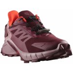 Salomon Supercross 4 Gtx 47594500 – Zboží Dáma