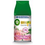 Air Wick Freshmatic Pure svěží vánek automatický sprej 250 ml – Sleviste.cz