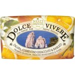 Nesti Dante Dolce Vivere mýdlo Capri 250 g – Zbozi.Blesk.cz