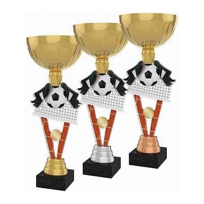 Nohejbalová trofej s kalichem 33 cm Stříbrný kovový štítek – Zboží Dáma