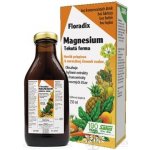 Salus Floradix Magnesium 250 ml – Hledejceny.cz