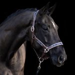 HVP Kožená ohlávka Iconic – Zbozi.Blesk.cz