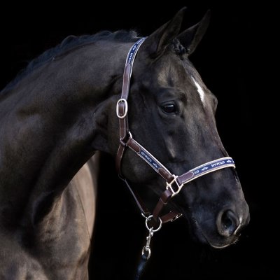 HVP Kožená ohlávka Iconic – Zbozi.Blesk.cz