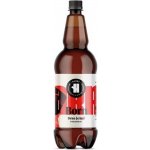 Harry 11 BORN světlý ležák 4,4% 1 l (pet) – Hledejceny.cz