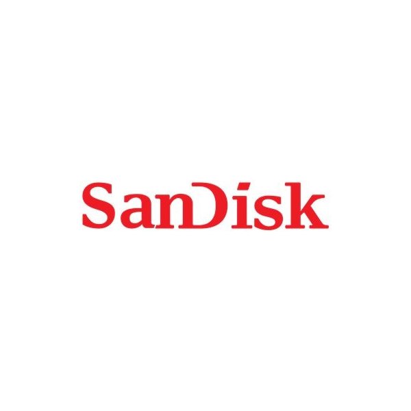 paměťová karta SanDisk SDHC UHS-I 32 GB SDSDXVT-032G-GNCI2