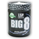 LSP Nutrition BIG 8 essential amino 300 tablet – Hledejceny.cz
