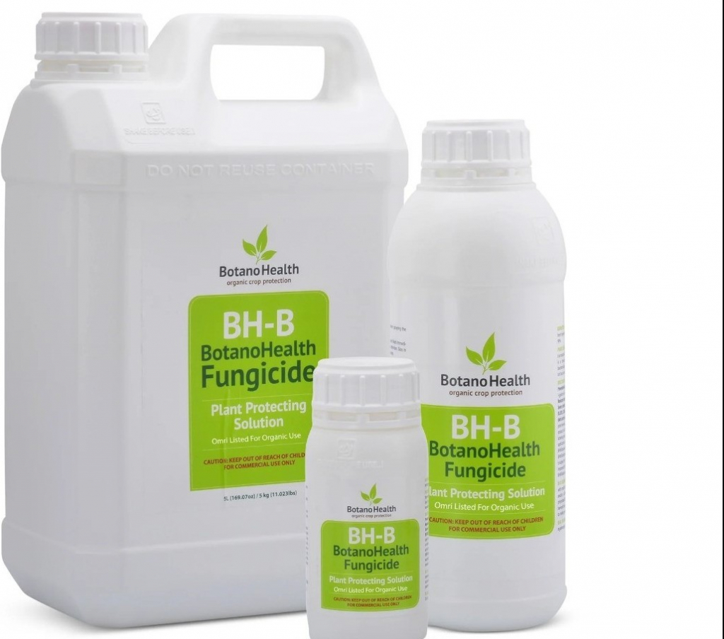 Botano Health BHB MM Leaves Shiner 5 l