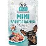 Brit Care Sterilised Mini Salmon & Herring Fillets in Gravy 85 g – Sleviste.cz