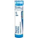 MAGNESIA MURIATICA POR 9CH GRA 1X4G – Hledejceny.cz